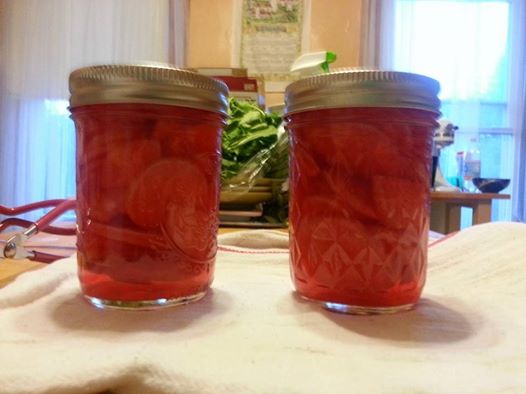 Pickled radishes so pretty 